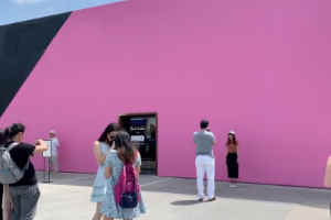 Pink Wall