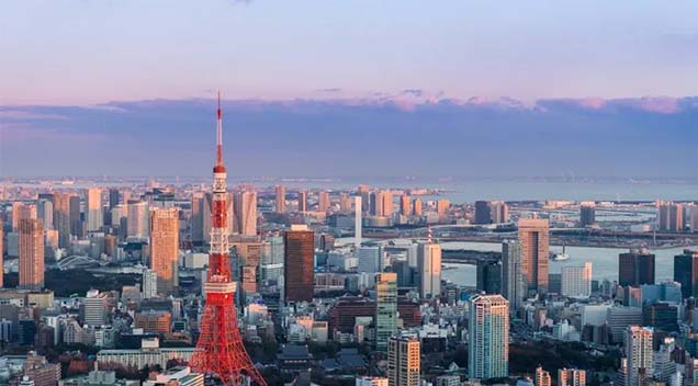 Tokyo One Day Charter Tour